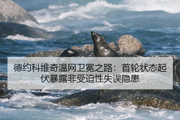 de-yue-ke-wei-qi-wen-wang-wei-mian-zhi-lu-shou-lun-zhuang-tai-qi-fu-bao-lu-fei-shou-po-xing-shi-wu-yin-huan-2-952.jpg