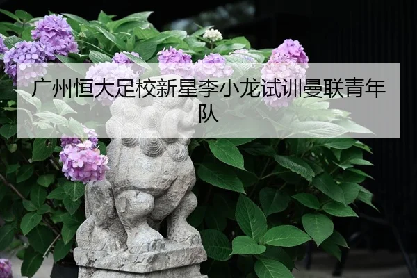 guang-zhou-heng-da-zu-xiao-xin-xing-li-xiao-long-shi-xun-man-lian-qing-nian-dui-2-557.jpg