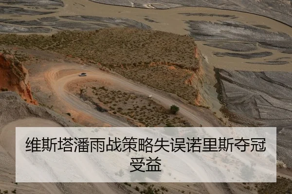 维斯塔潘雨战策略失误诺里斯夺冠受益