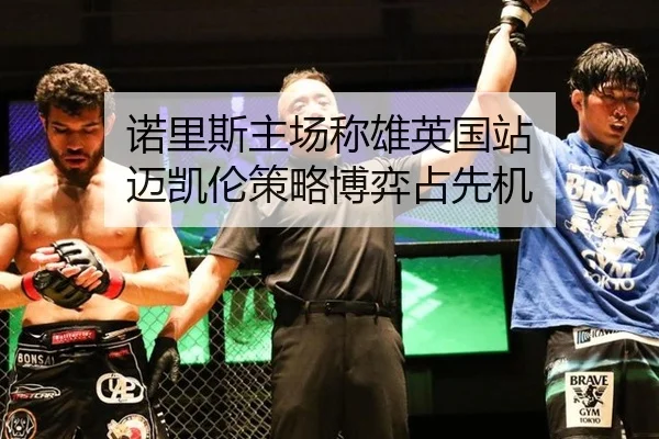 诺里斯主场称雄英国站 迈凯伦策略博弈占先机