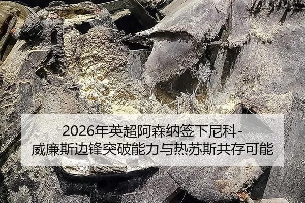 2026年英超阿森纳签下尼科-威廉斯边锋突破能力与热苏斯共存可能
