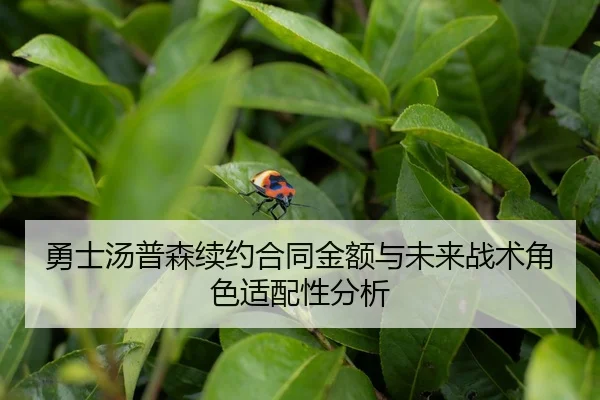 yong-shi-tang-pu-sen-xu-yue-he-tong-jin-e-yu-wei-lai-zhan-shu-jue-se-shi-pei-xing-fen-xi-2-343.jpg